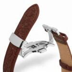 WhatsApp Image 2026-01-18 at 7.49.06 PM